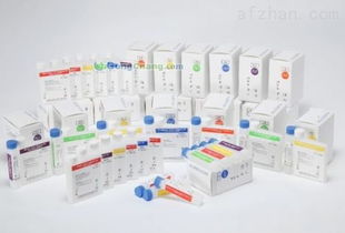 丁二酸酐在深圳網(wǎng)站開發(fā)中的創(chuàng)新應(yīng)用