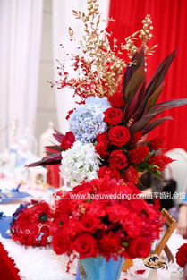 海芋婚禮 蘇州婚慶禮儀服務的專業選擇